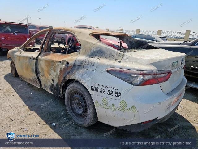 Auction photo
