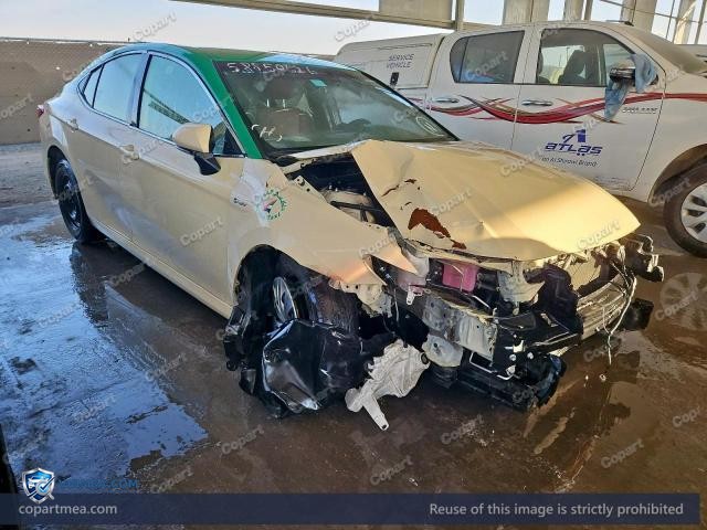 Auction photo