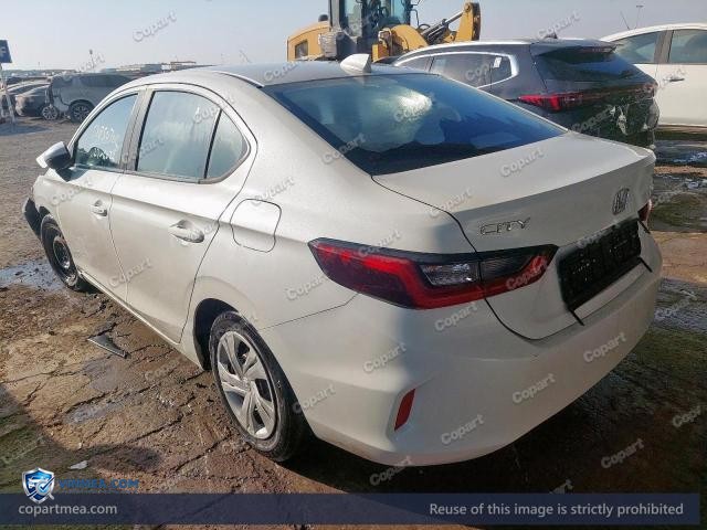Auction photo