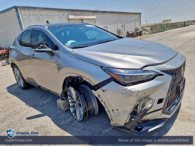 2024 LEXUS NX — Lot 58855516 auction photo