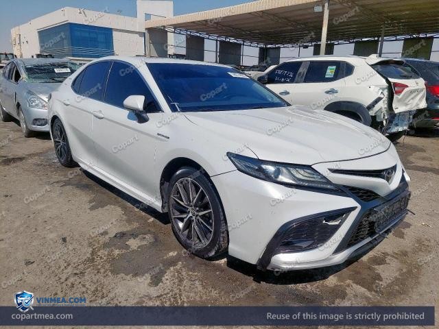 Auction photo