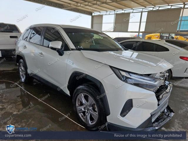 2024 TOYOTA RAV — Lot 58875766 auction photo