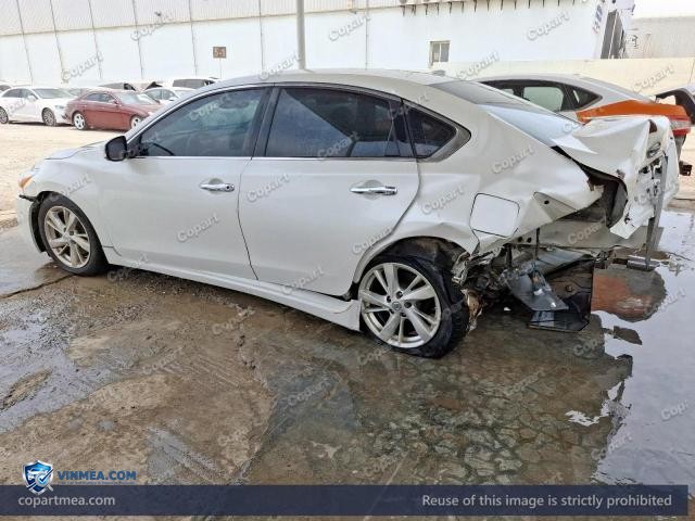 Auction photo