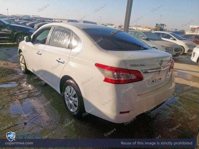 Auction photo
