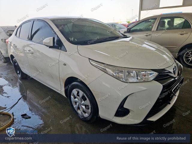 Auction photo