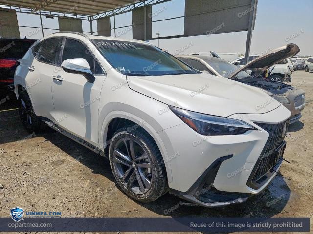 2025 LEXUS NX — Lot 58879656 auction photo