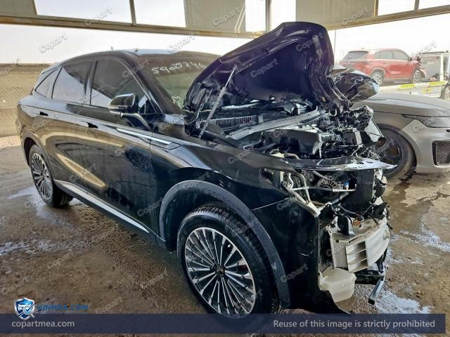 2025 EXEE RX — Lot 59025246 auction photo