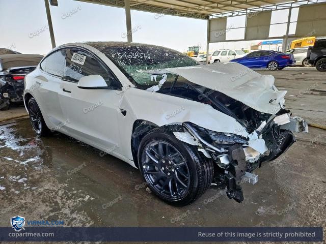 Auction photo