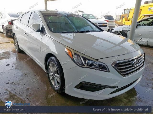 Auction photo