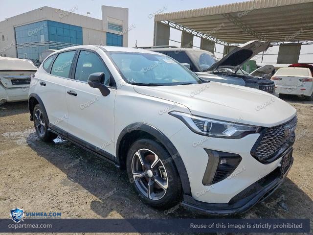 2025 HAVA JOLION — Lot 59034926 auction photo