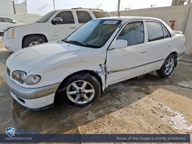 Auction photo
