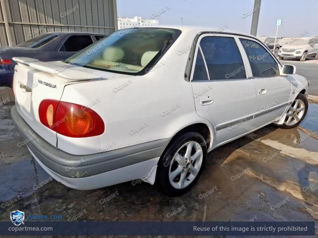 Auction photo