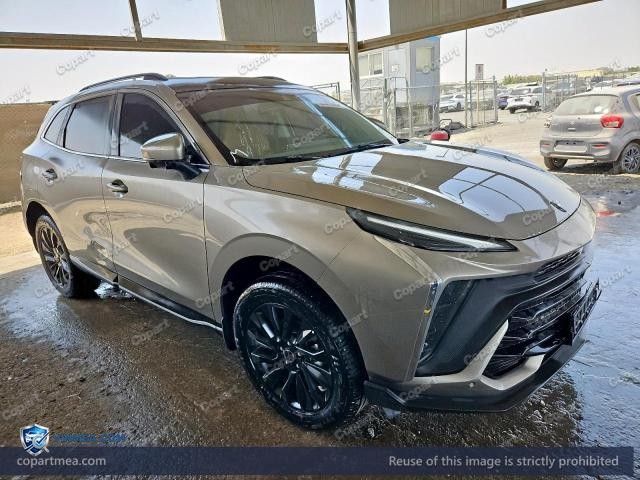2026 DONG T5 — Lot 59042346 auction photo