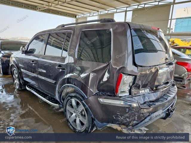 Auction photo