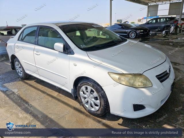 Auction photo