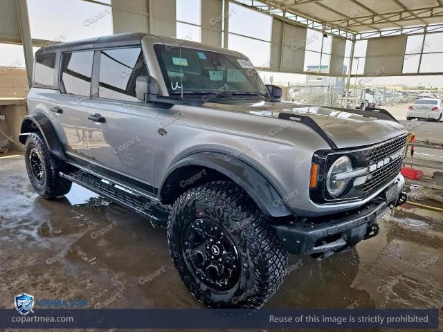 Auction photo