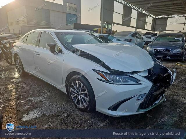 Auction photo