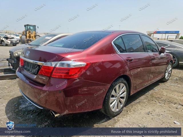 Auction photo