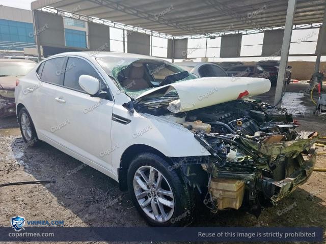 Auction photo
