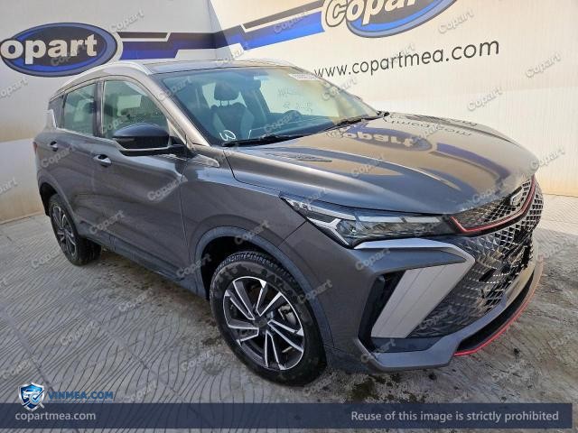 2024 GEEA COOLRAY — Lot 59202316 auction photo