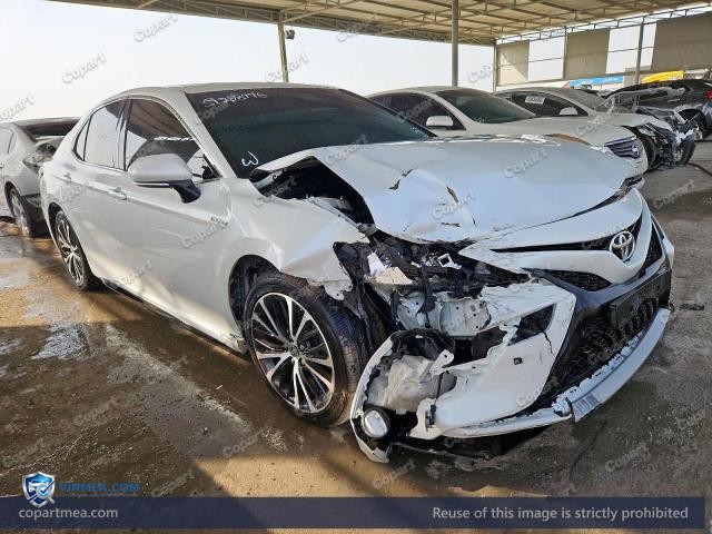 Auction photo