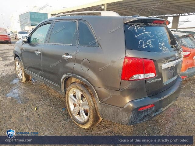 Auction photo