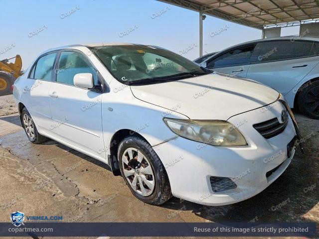 Auction photo