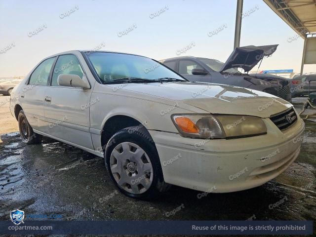 Auction photo