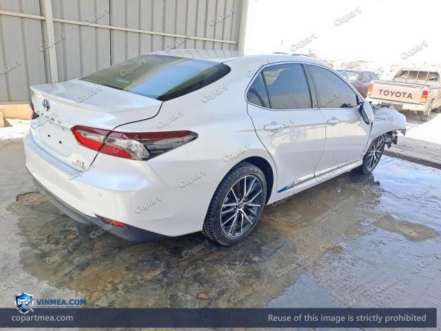 Auction photo