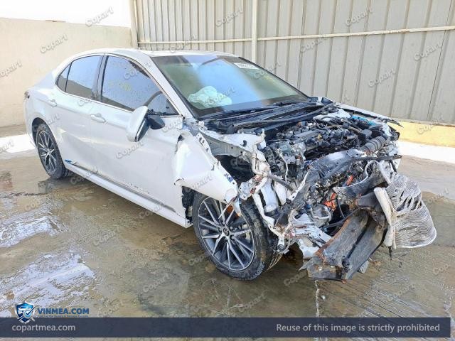 Auction photo