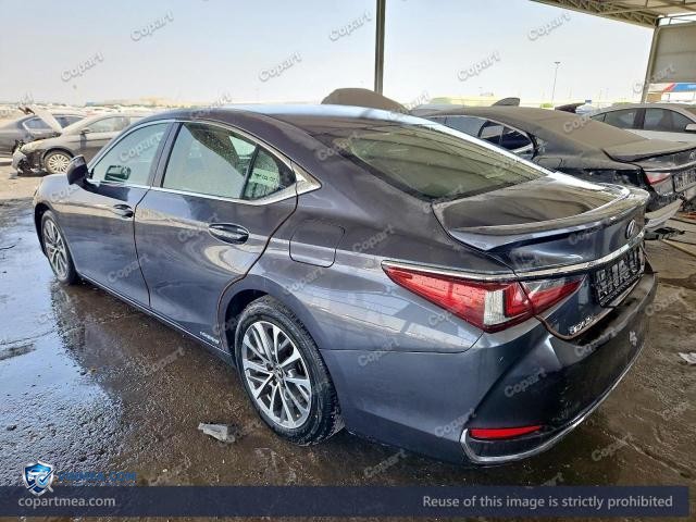 Auction photo