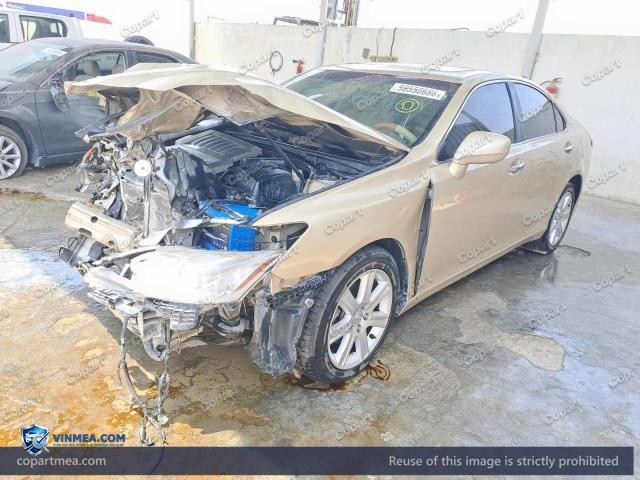 Auction photo