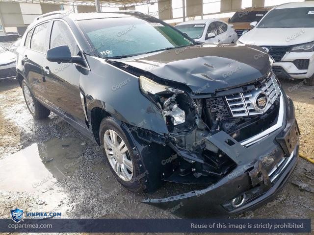 Auction photo