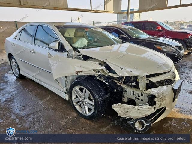 Auction photo