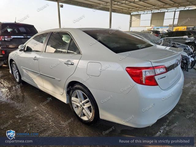 Auction photo