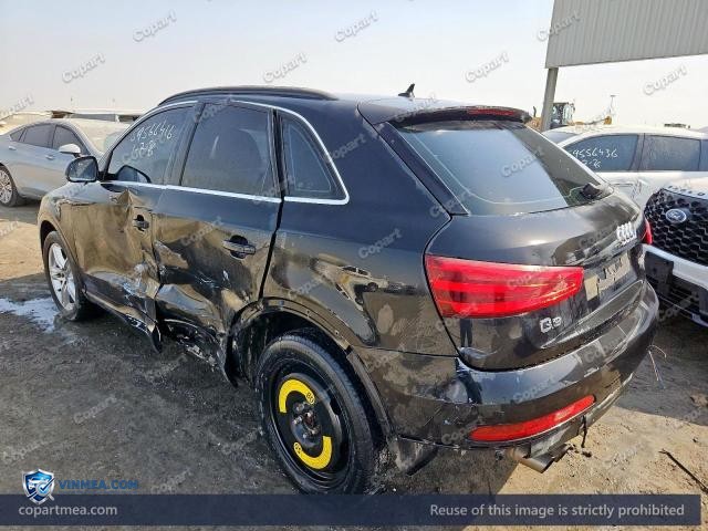 Auction photo