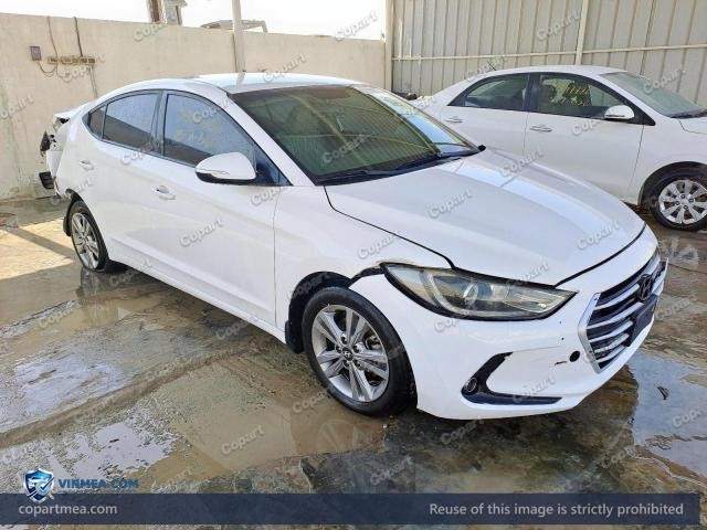 Auction photo