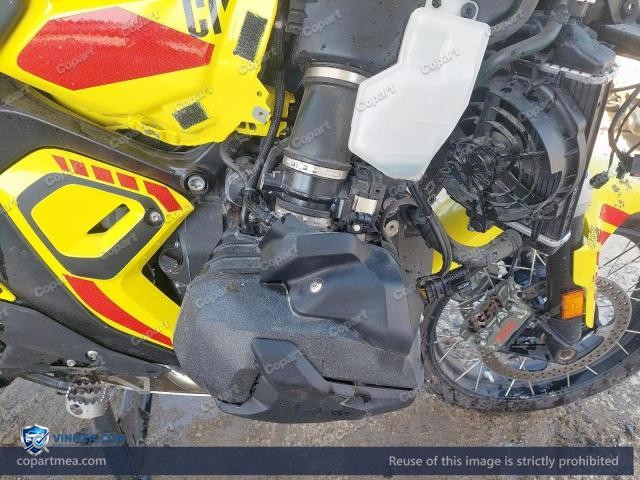 Auction photo