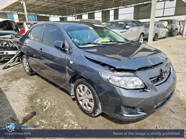 Auction photo