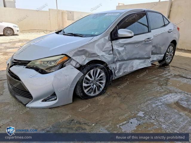 Auction photo