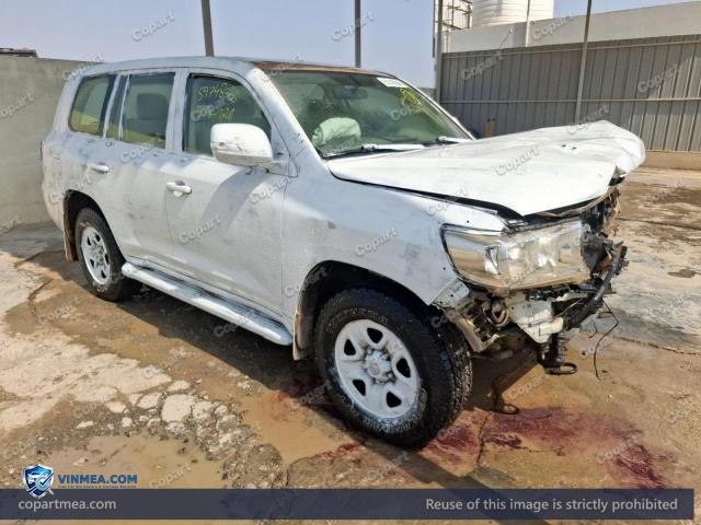 Auction photo