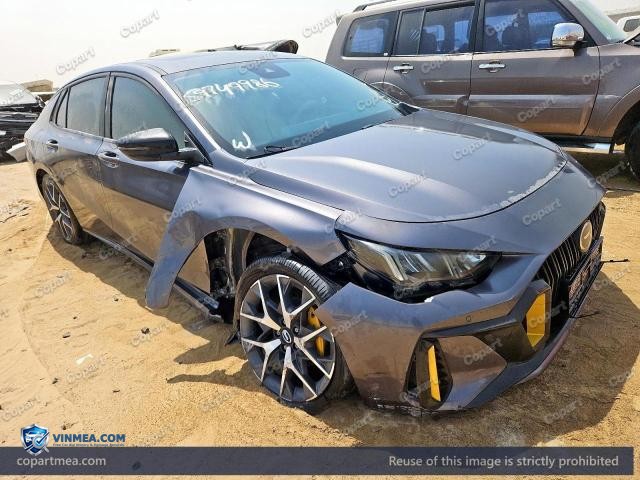 2025 GAC EMPOW — Lot 59749986 auction photo