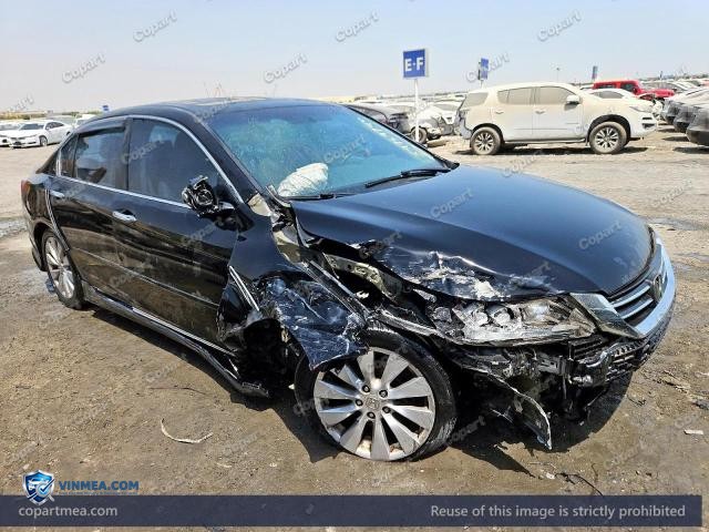 Auction photo