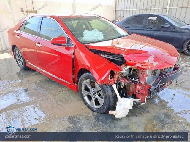 Auction photo