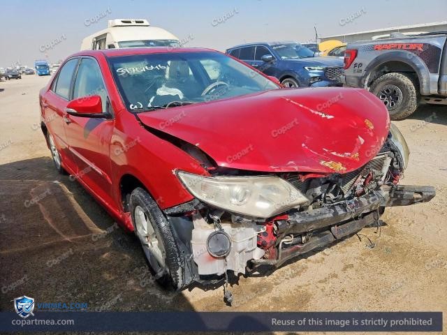Auction photo