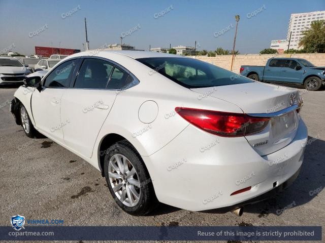 Auction photo