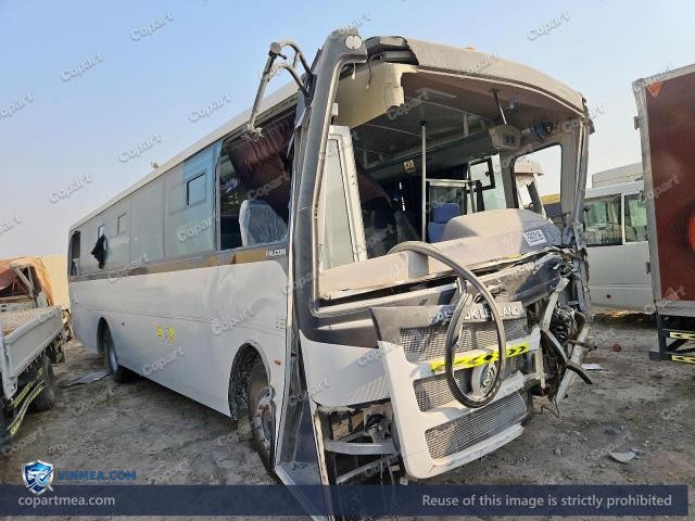 2026 ASHO FALCON — Lot 59928186 auction photo