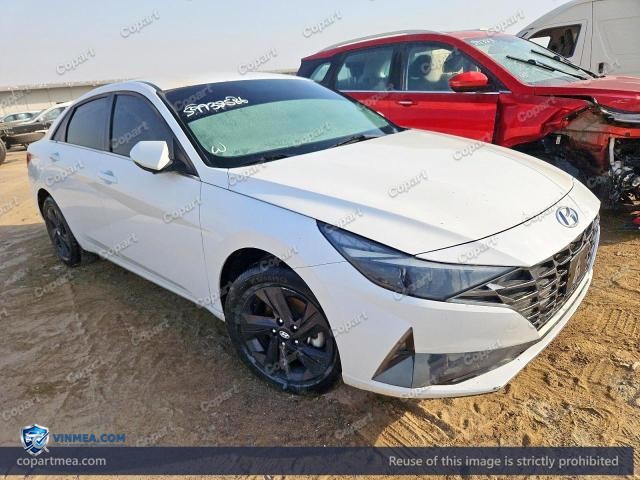 Auction photo