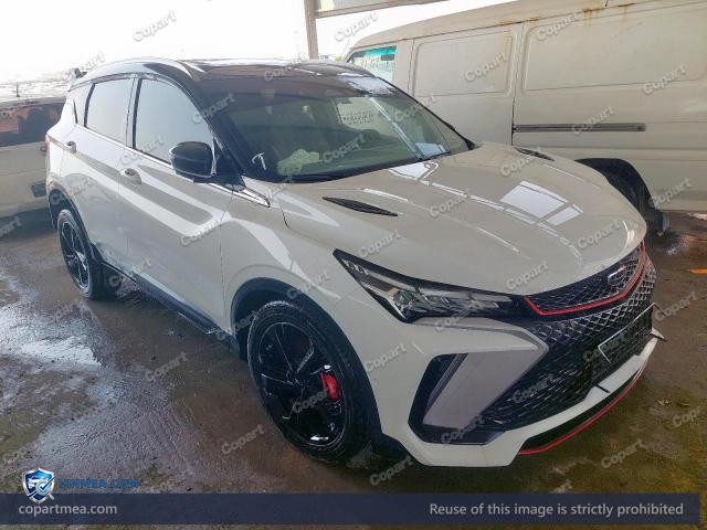 2025 GEEA COOLRAY — Lot 59939726 auction photo
