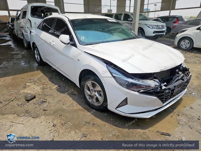 2023 HYUNDAI ELANTRA — Lot 59944566 auction photo